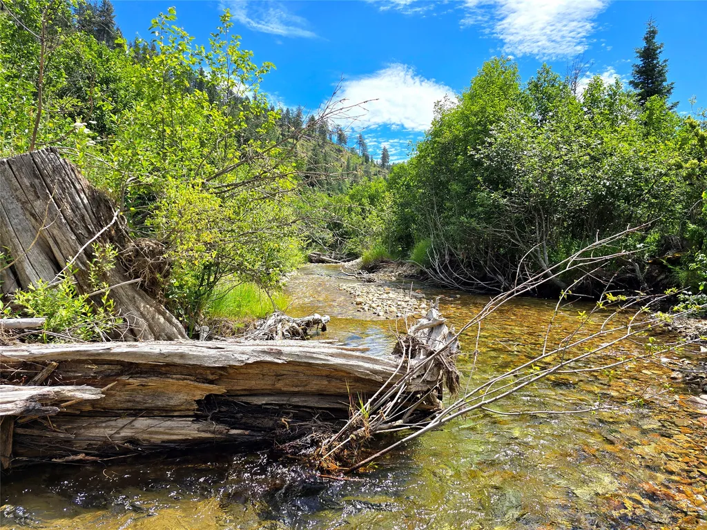 402 Whitepine Creek Road Trout Creek MT 59874