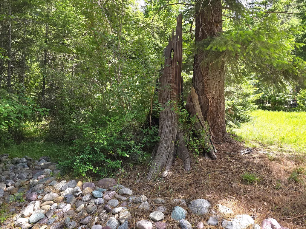 402 Whitepine Creek Road Trout Creek MT 59874
