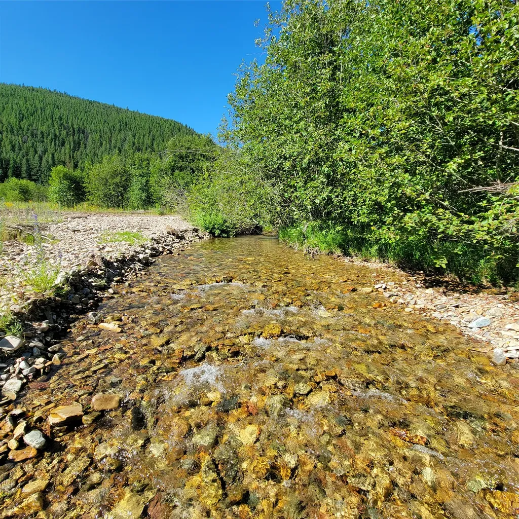 402 Whitepine Creek Road Trout Creek MT 59874