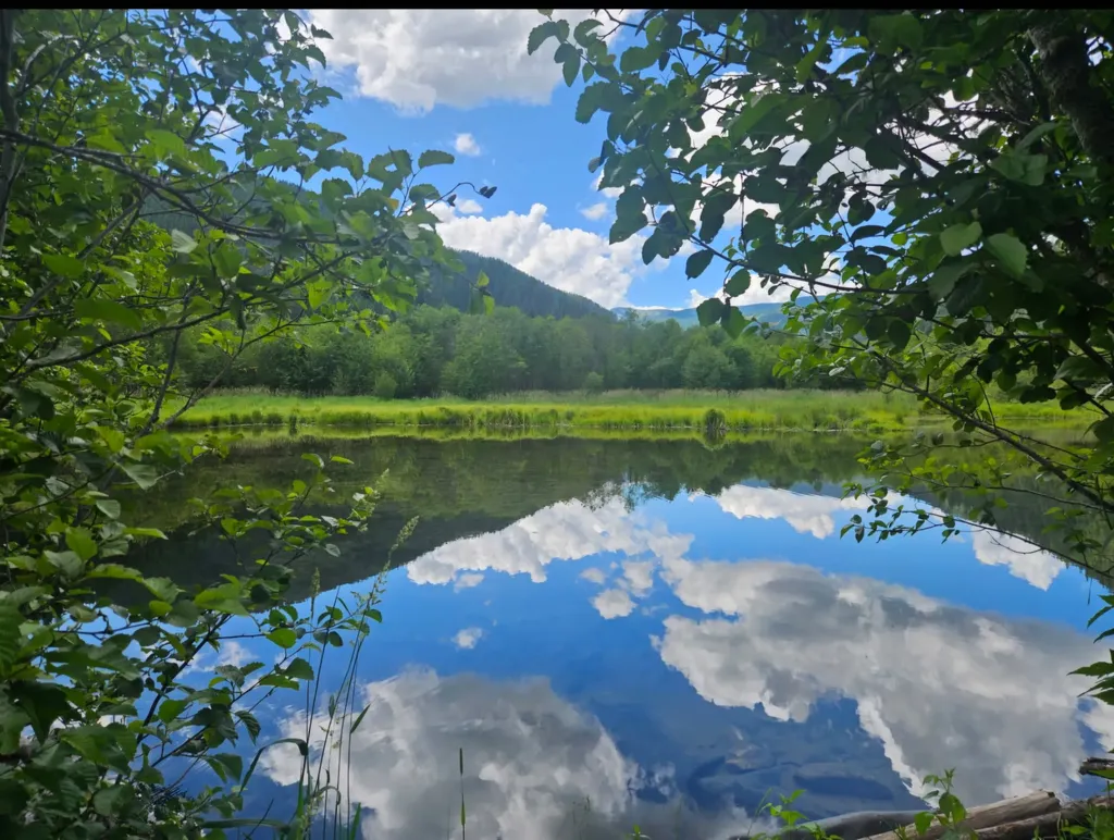 402 Whitepine Creek Road Trout Creek MT 59874