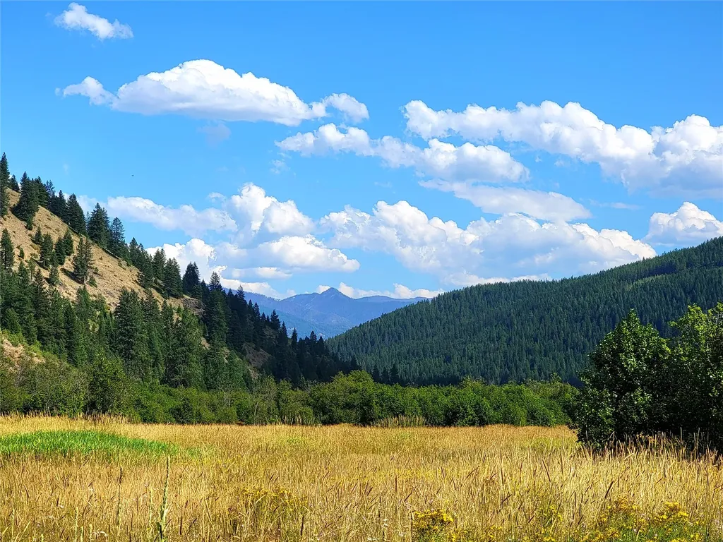 402 Whitepine Creek Road Trout Creek MT 59874