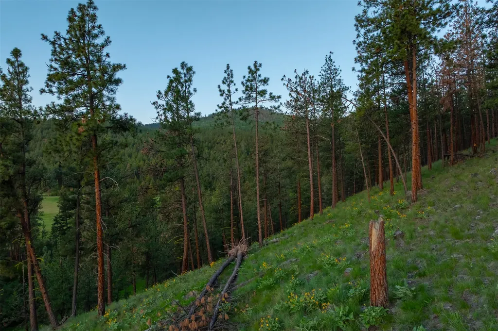 8350 Red Hawk View Missoula MT 59804