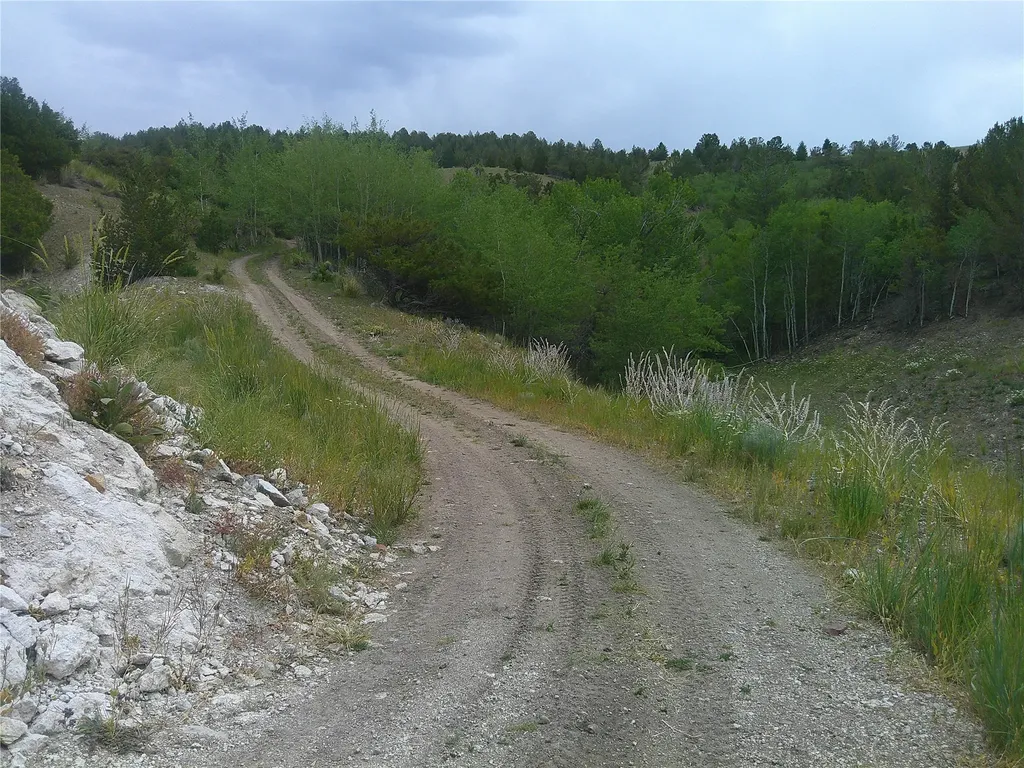 69 Sleepy Hollow Drive Anaconda MT 59711