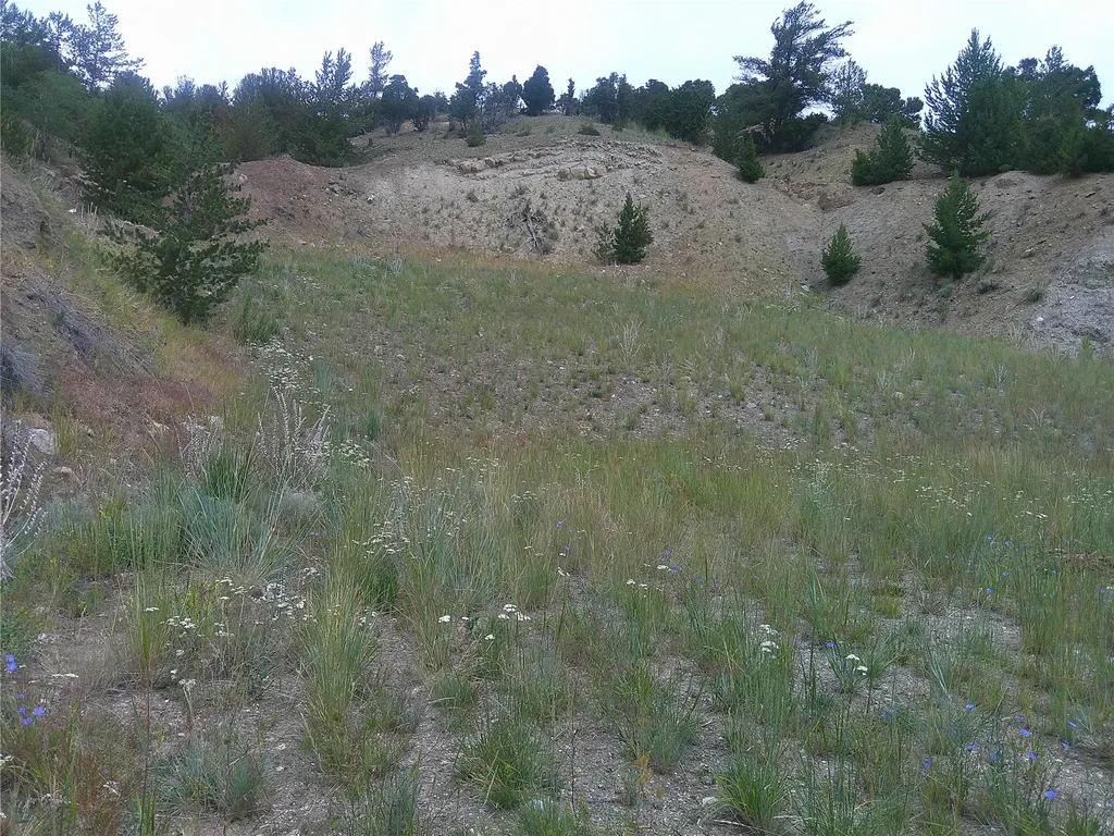 69 Sleepy Hollow Drive Anaconda MT 59711