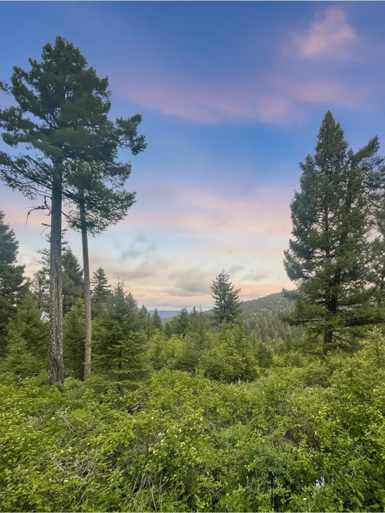 Nhn Ashby Creek Road Potomac MT 59823