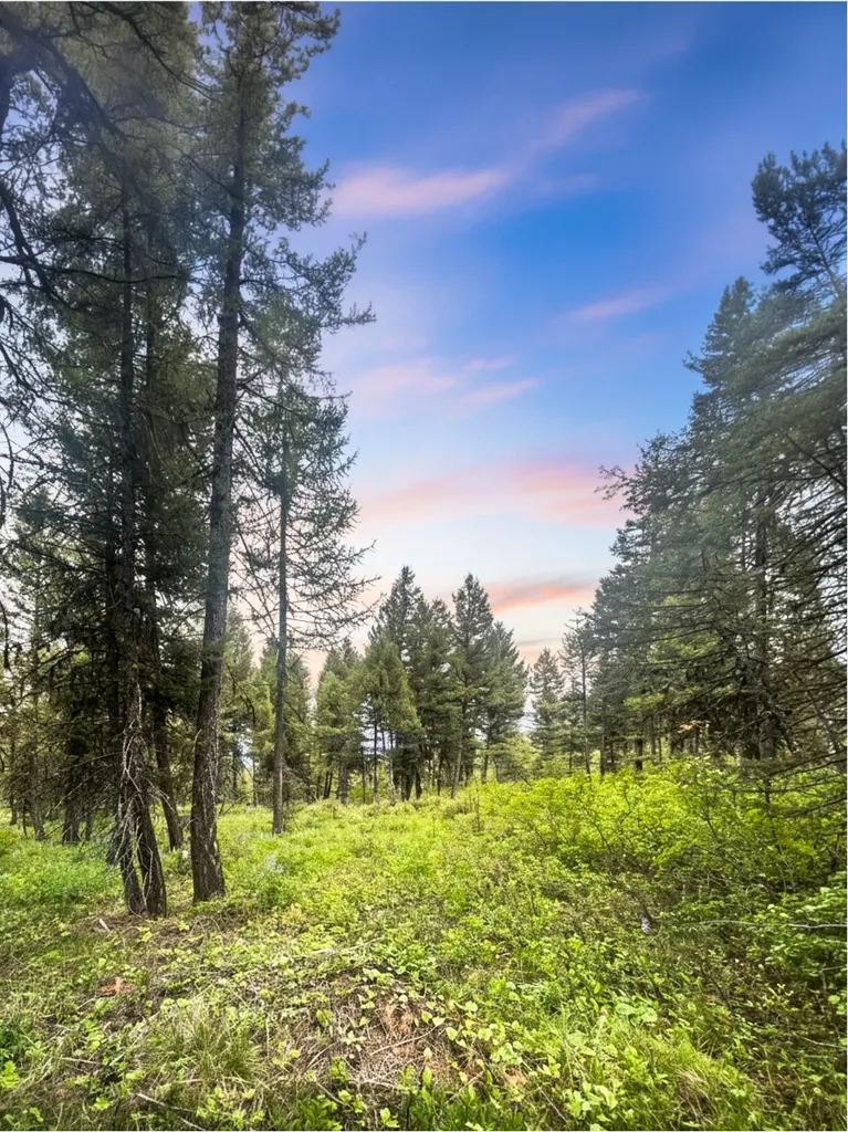Nhn Ashby Creek Road Potomac MT 59823