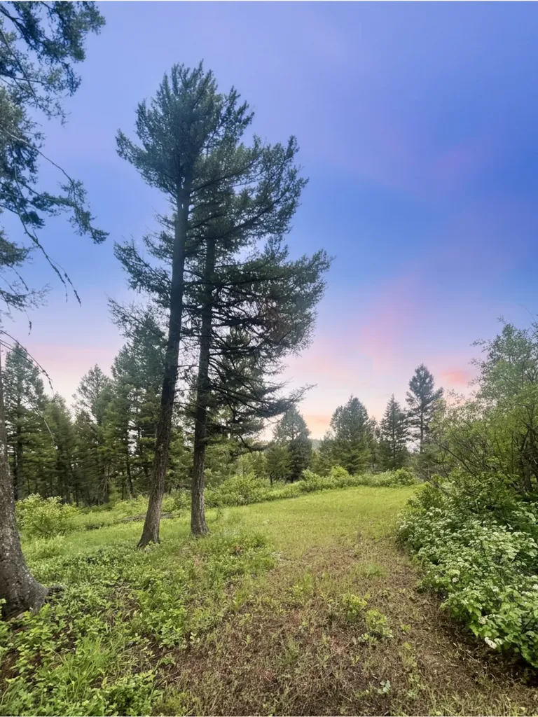 Nhn Ashby Creek Road Potomac MT 59823