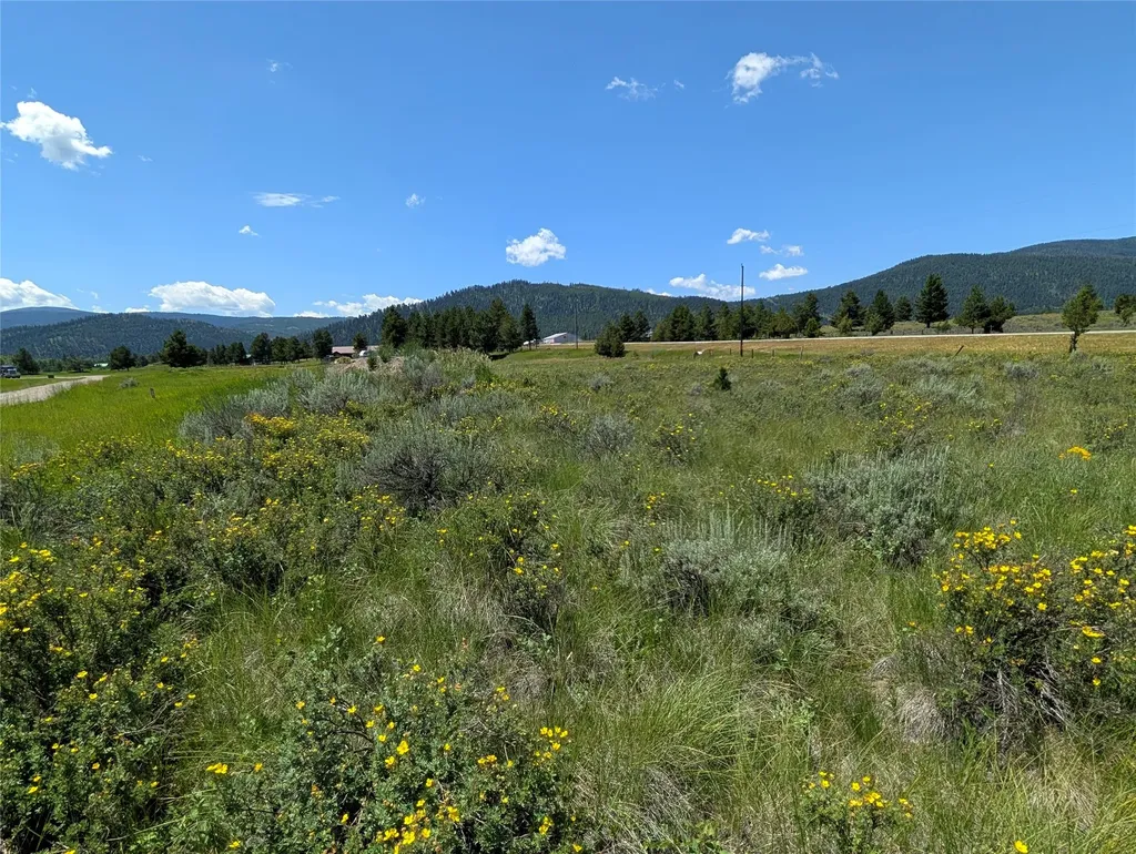4070 Dutchman Lincoln MT 59639