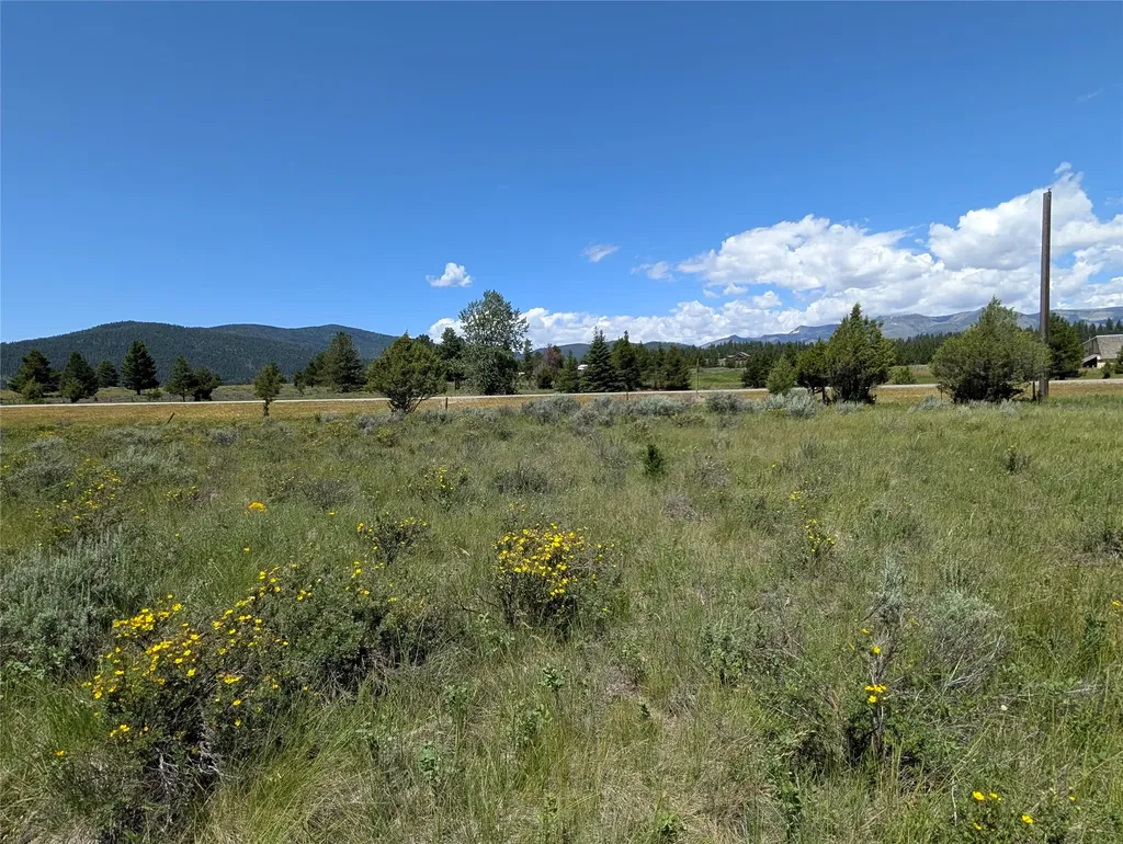 4070 Dutchman Lincoln MT 59639