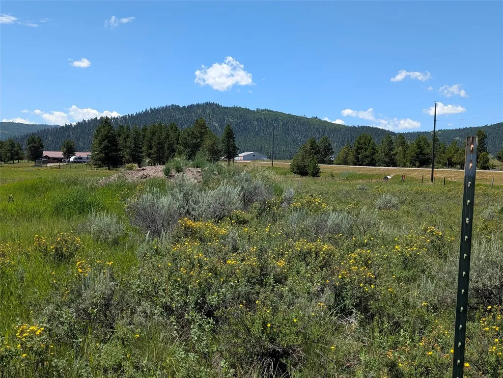 4070 Dutchman Lane Lincoln MT 59639