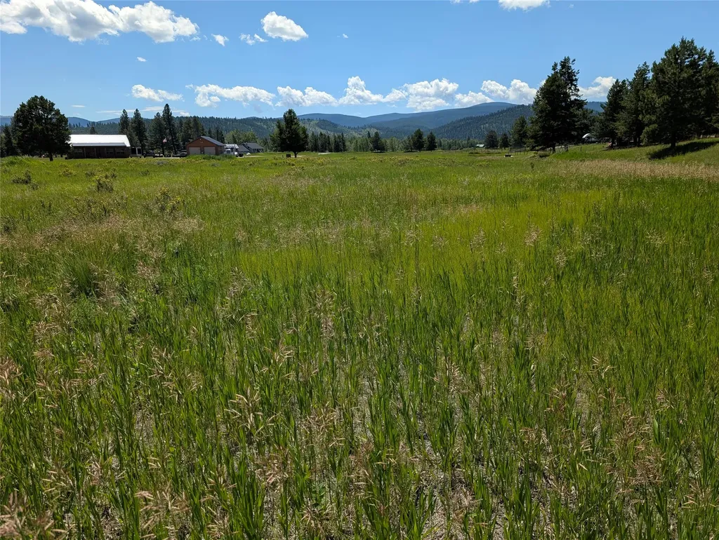 4070 Dutchman Lane Lincoln MT 59639