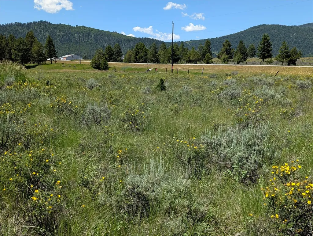 4070 Dutchman Lane Lincoln MT 59639
