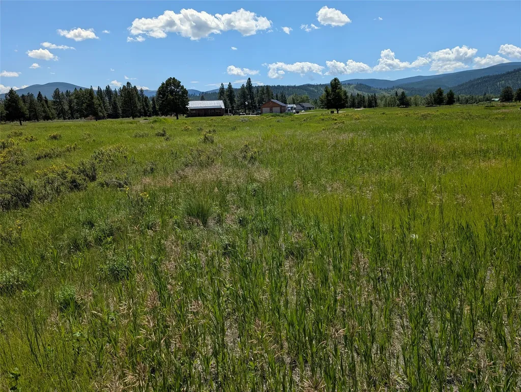 4070 Dutchman Lincoln MT 59639
