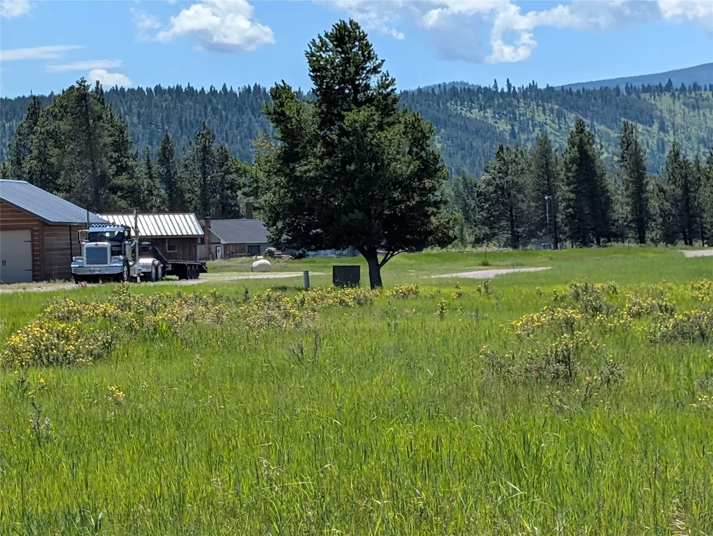 4070 Dutchman Lincoln MT 59639