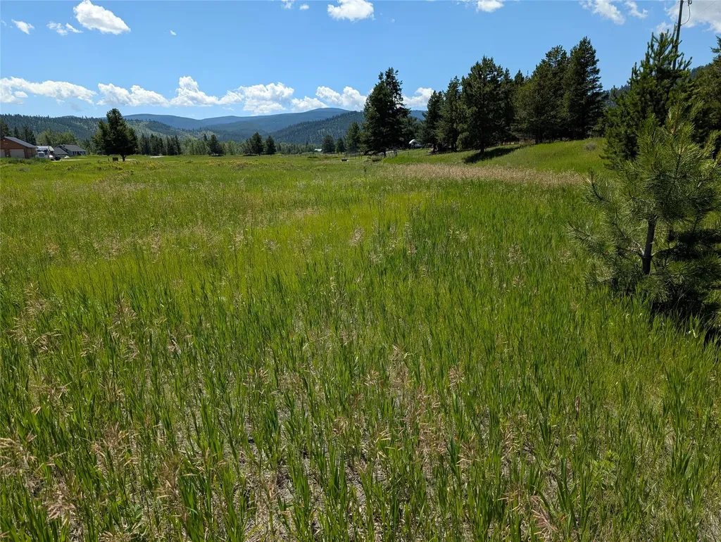 4070 Dutchman Lincoln MT 59639