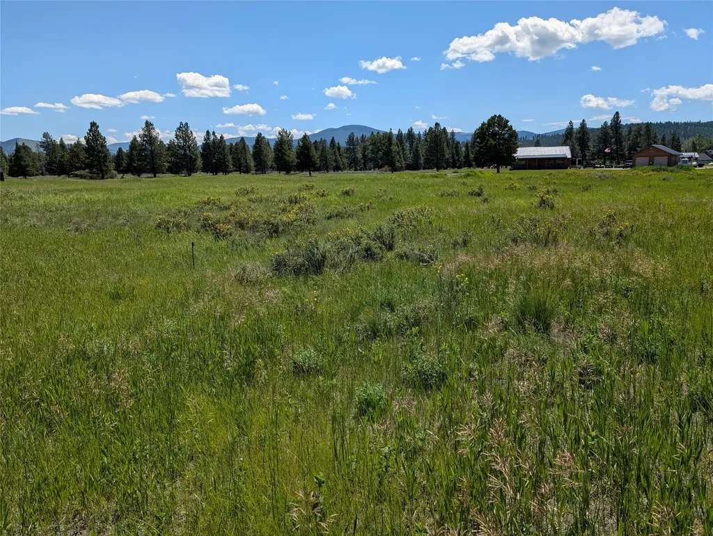 4070 Dutchman Lincoln MT 59639