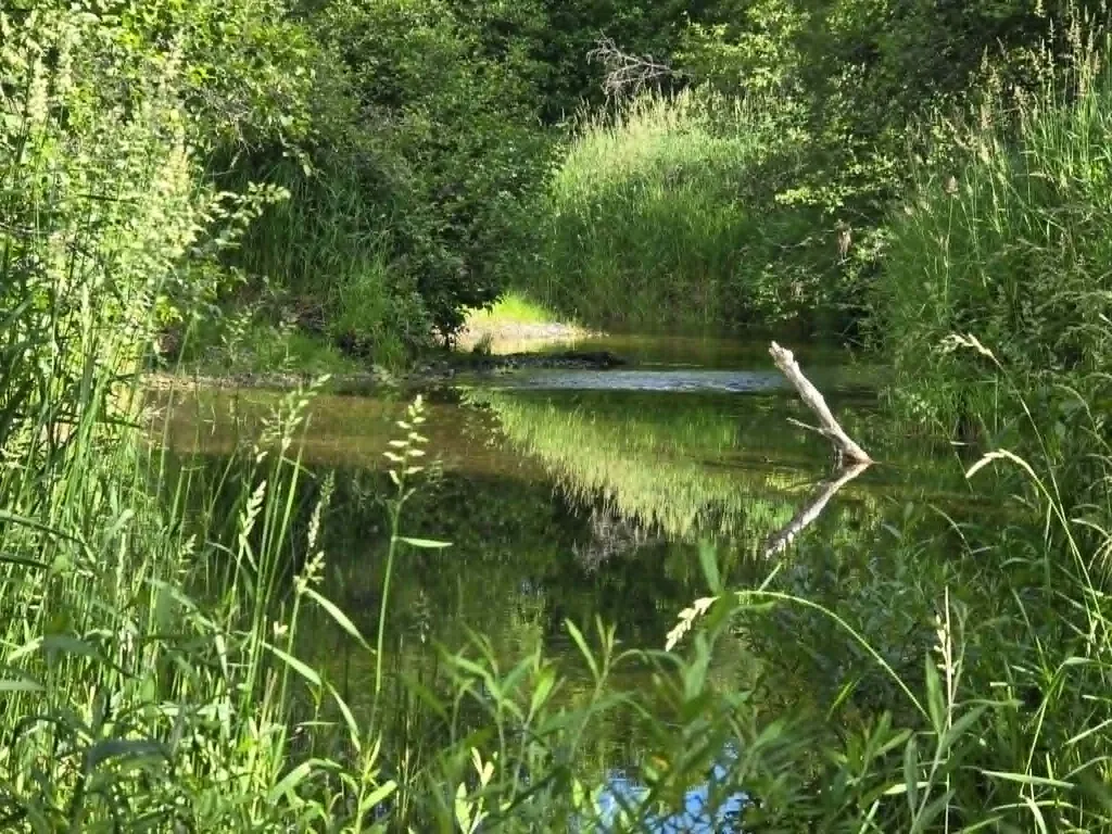31975 South Fork Yaak River Road Yaak MT 59935