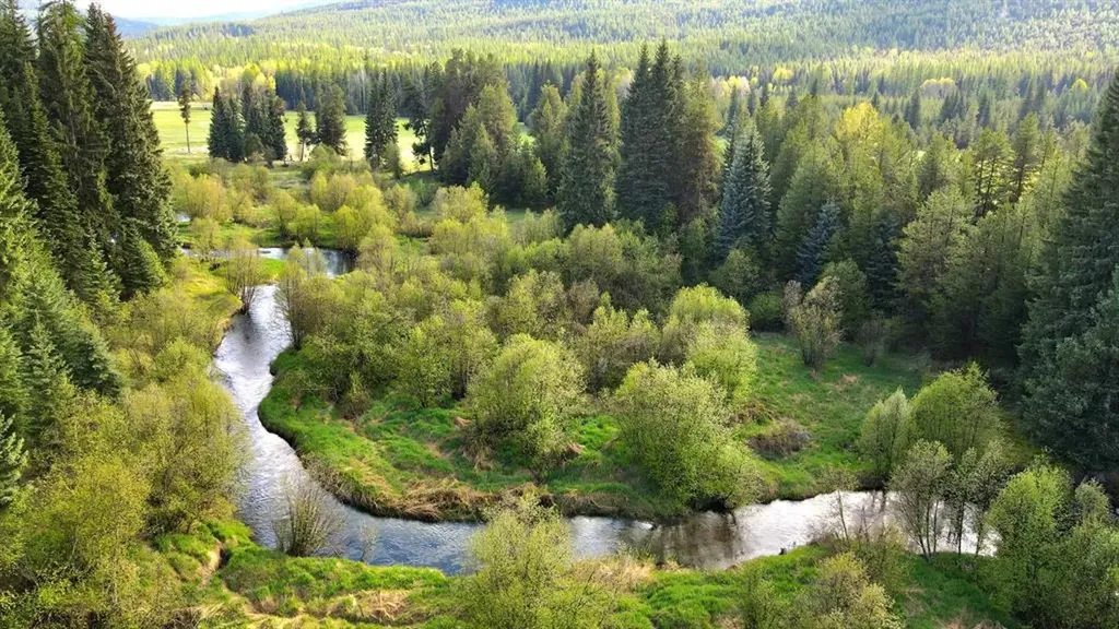 31975 South Fork Yaak River Road Yaak MT 59935