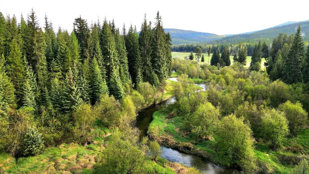 31975 South Fork Yaak River Road Yaak MT 59935