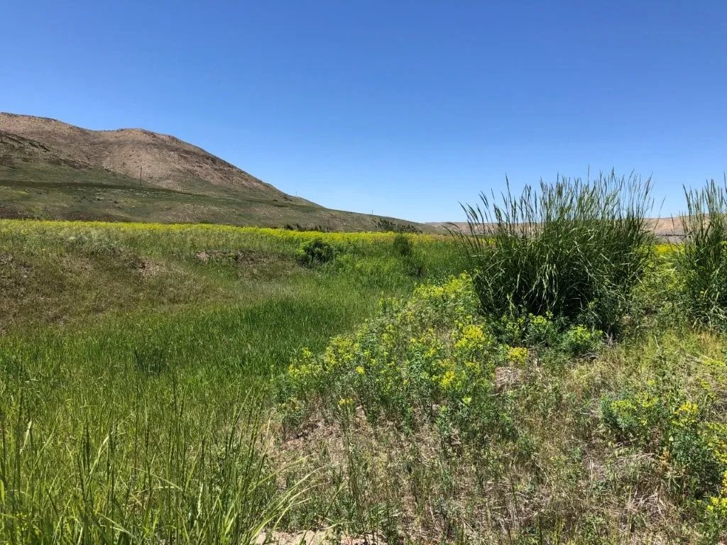 20 Vernon Road Highwood MT 59450