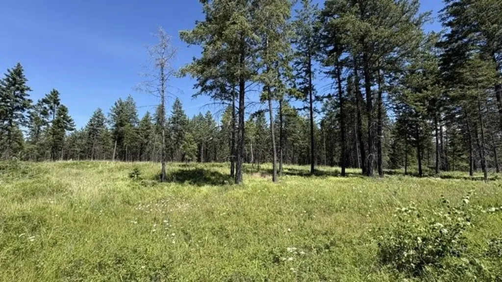 5089 Us Hwy 93 S Whitefish MT 59937