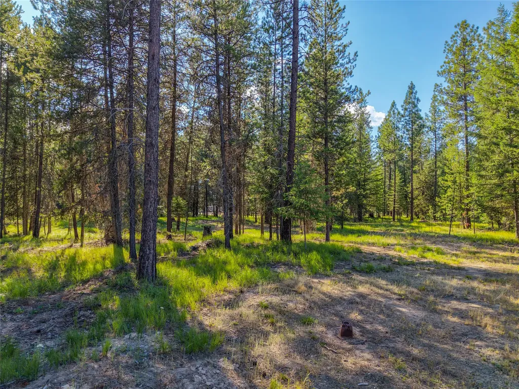 84 Dead End Way Libby MT 59923