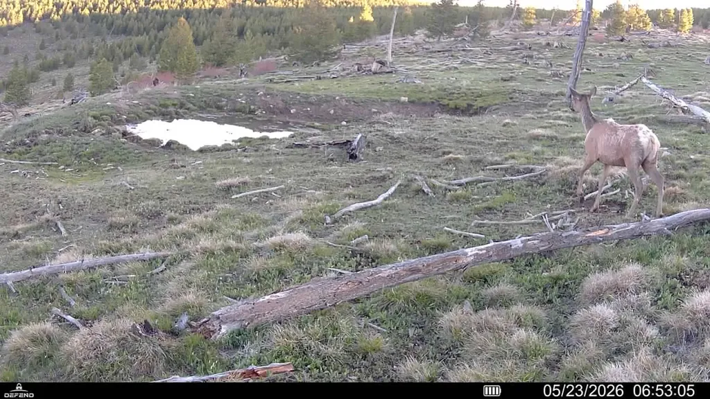 3 Tract, Garnet Range Drummond MT 59825