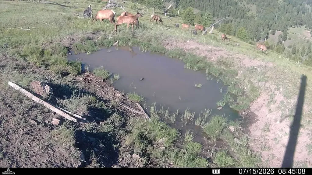 3 Tract, Garnet Range Drummond MT 59825