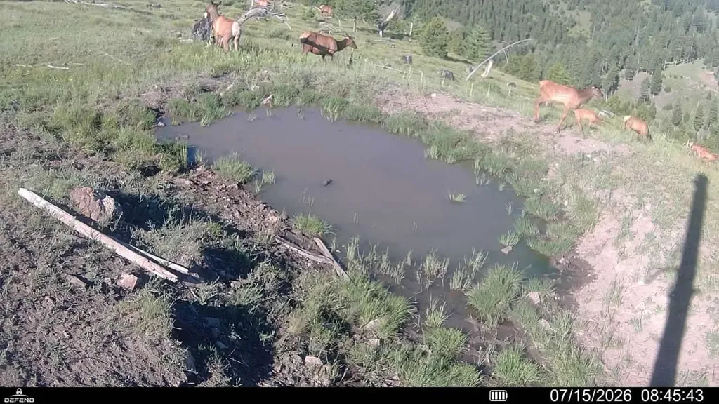 3 Tract, Garnet Range Drummond MT 59825
