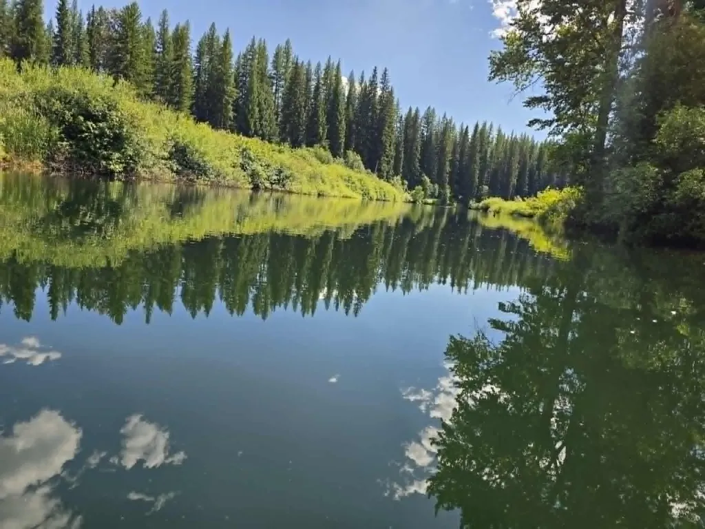 29132 Yaak River Road Troy MT 59935