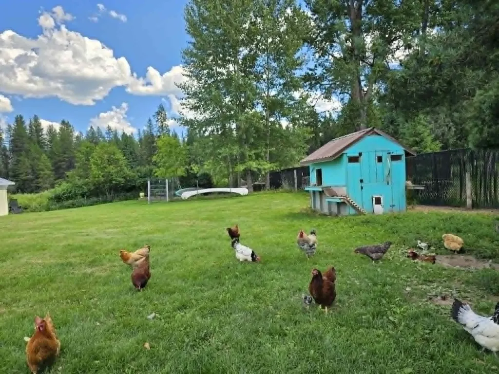 29132 Yaak River Road Troy MT 59935