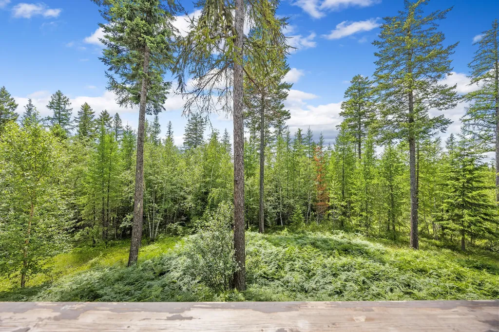 70 Big Cedar Bigfork MT 59911