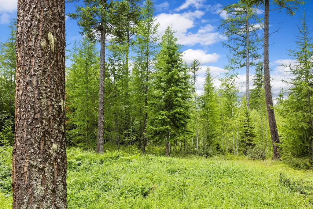 70 Big Cedar Bigfork MT 59911