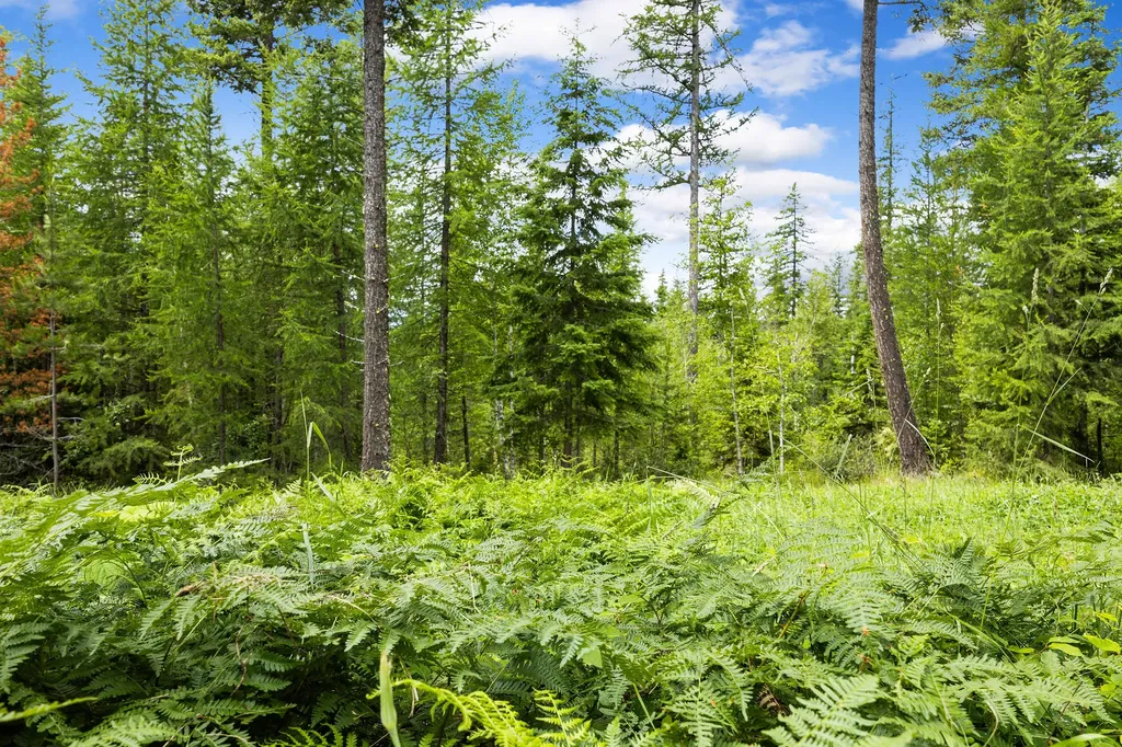 70 Big Cedar Bigfork MT 59911