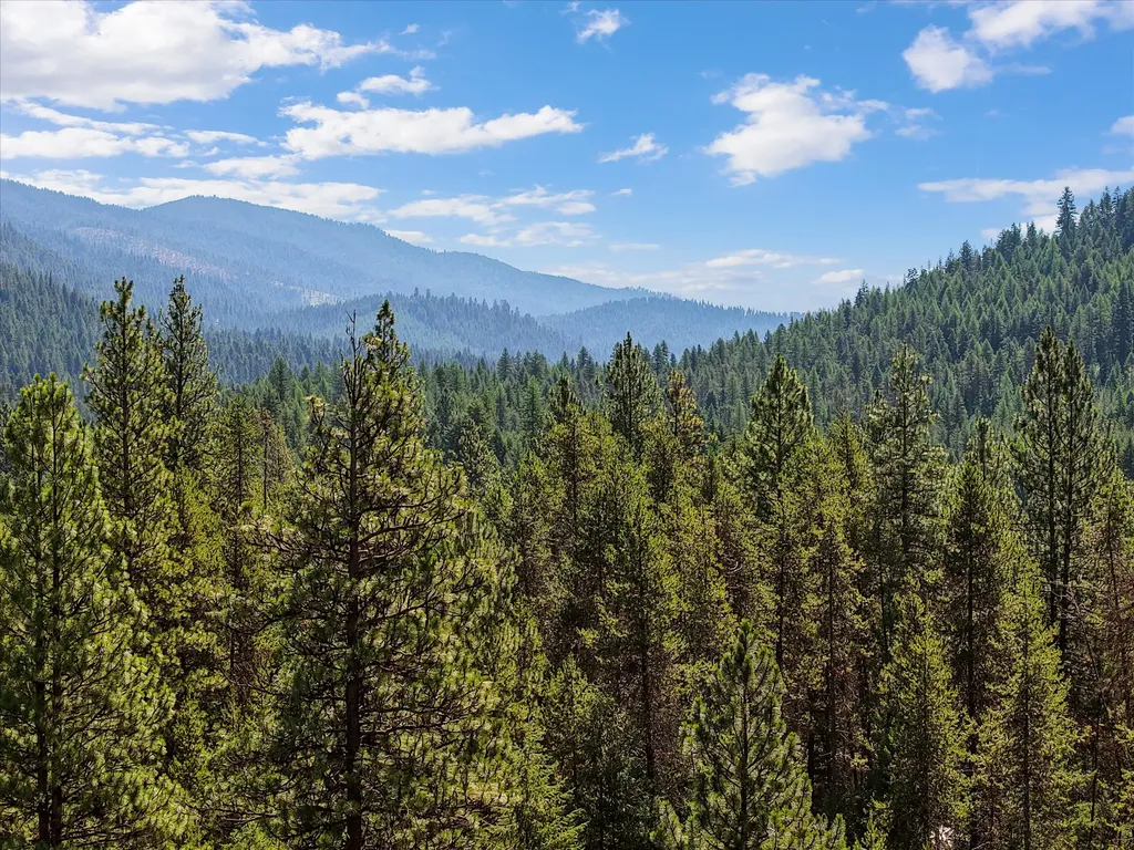 180 Cabin City Loop St Regis MT 59866