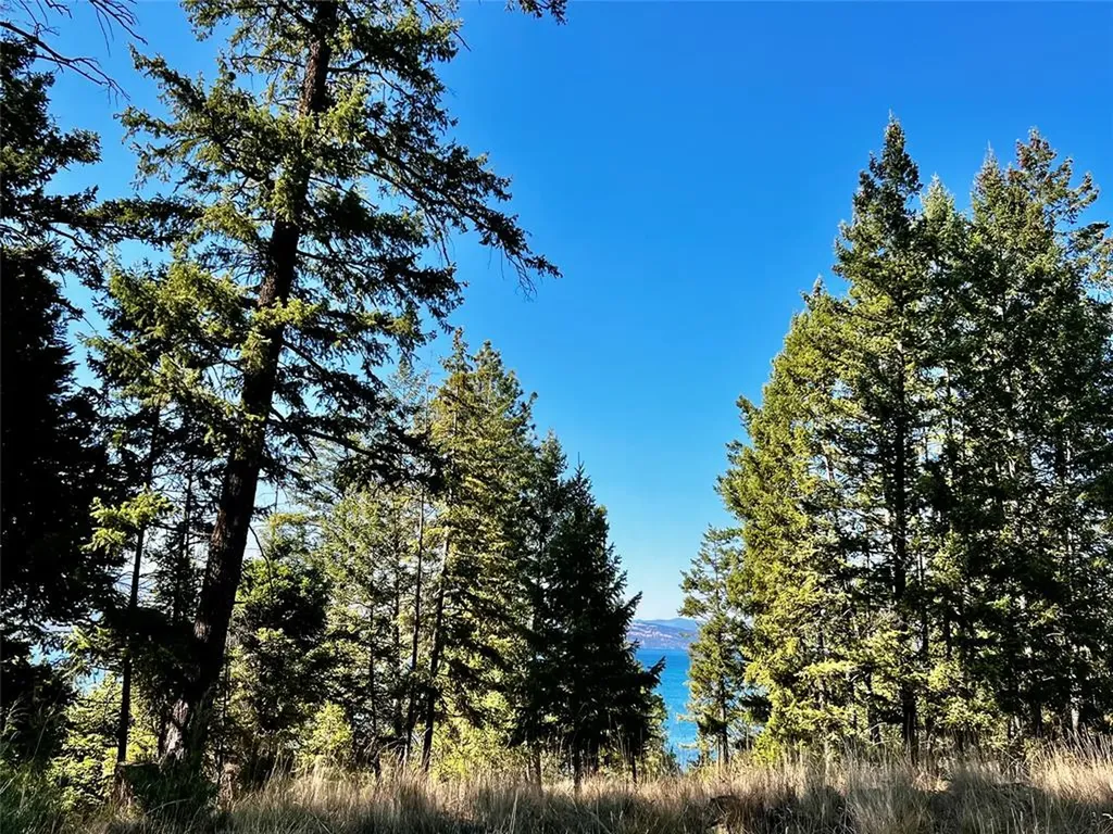 30373 Coneflower Lane Polson MT 59860