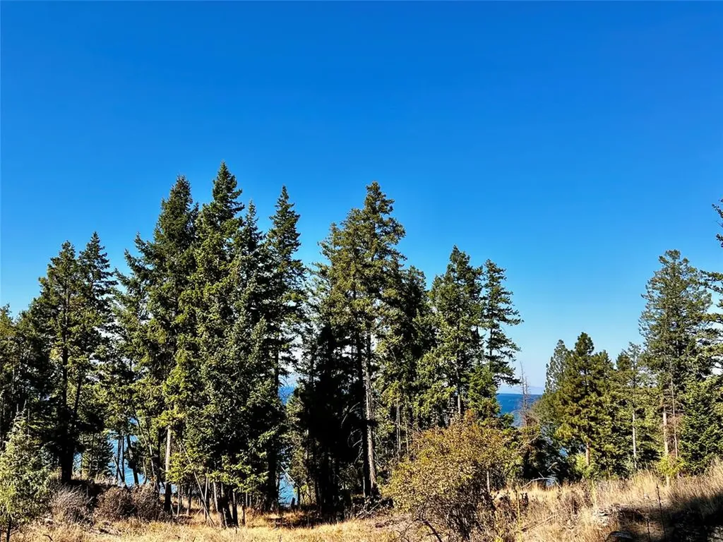 30373 Coneflower Lane Polson MT 59860