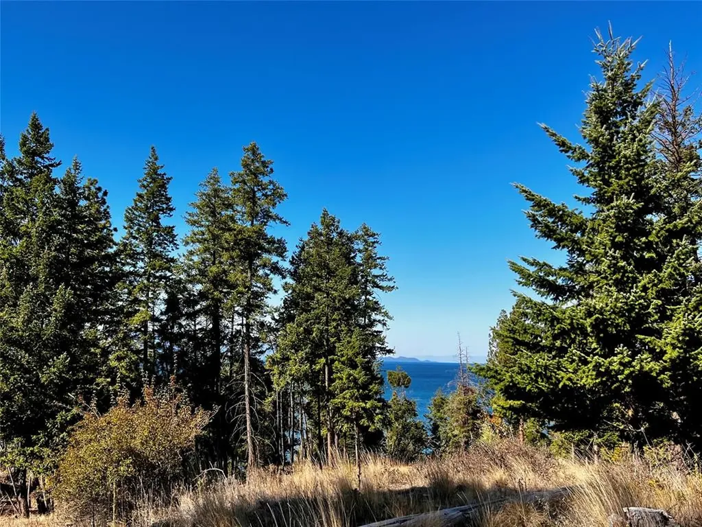 30373 Coneflower Lane Polson MT 59860