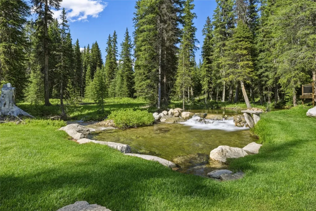 383 Red Lion Road Anaconda MT 59711