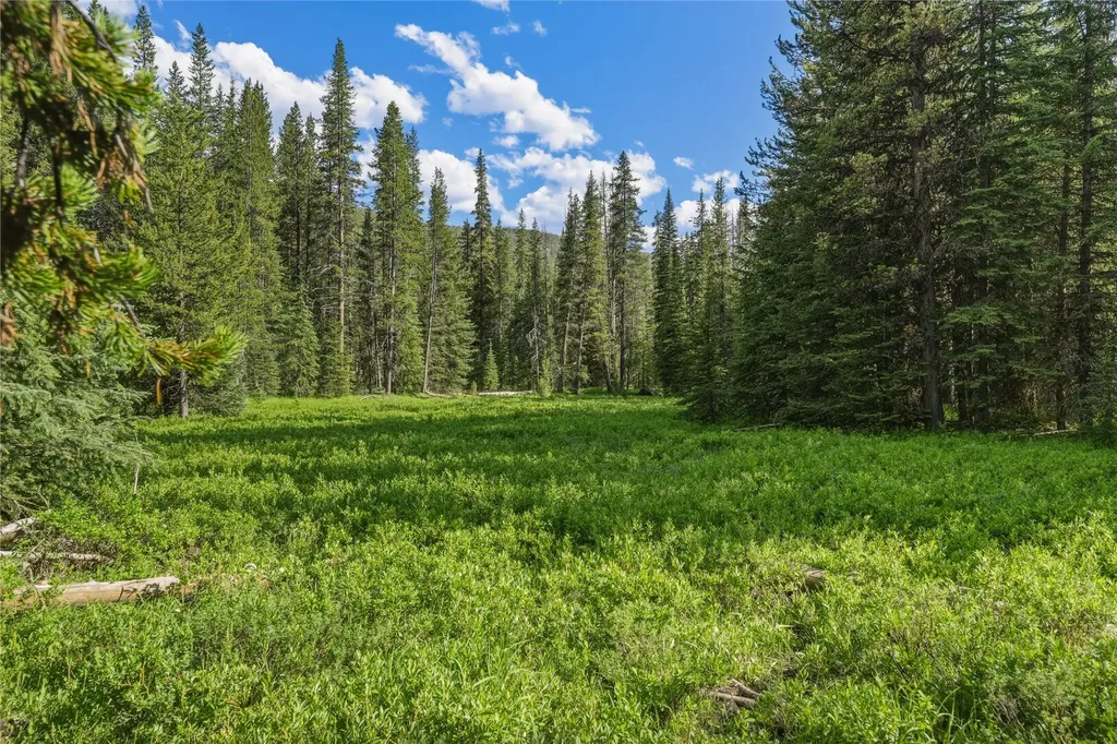 383 Red Lion Road Anaconda MT 59711