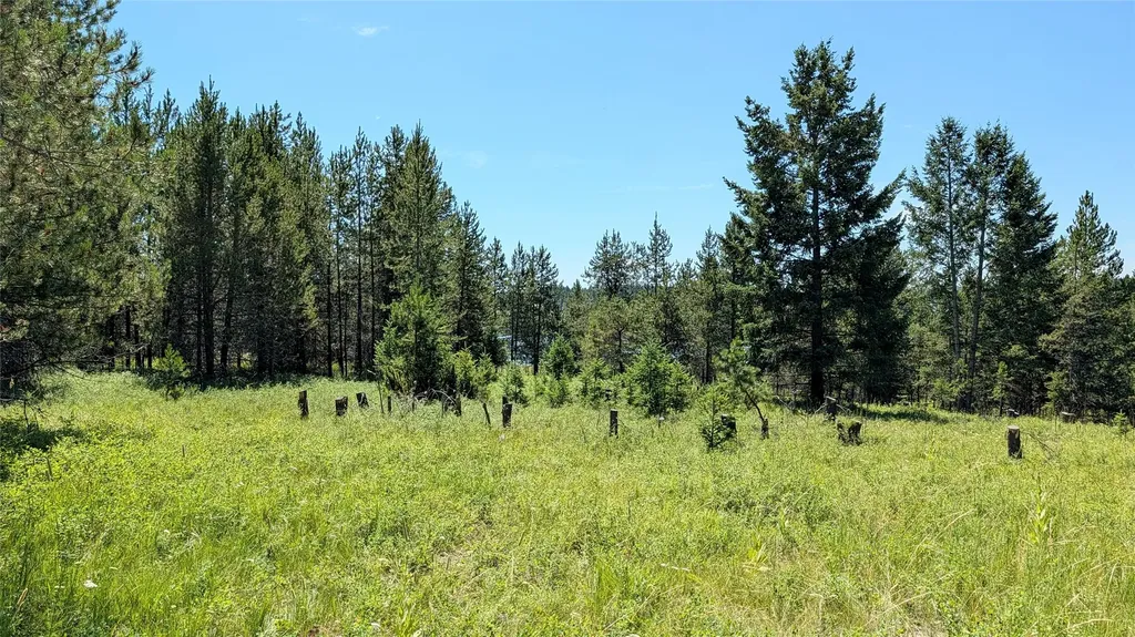 80 Wagon Wheel Road Whitefish MT 59937