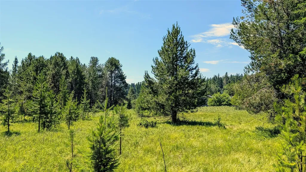 80 Wagon Wheel Road Whitefish MT 59937
