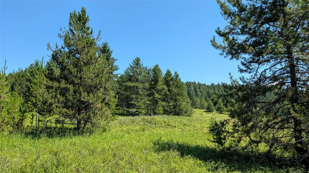80 Wagon Wheel Road Whitefish MT 59937