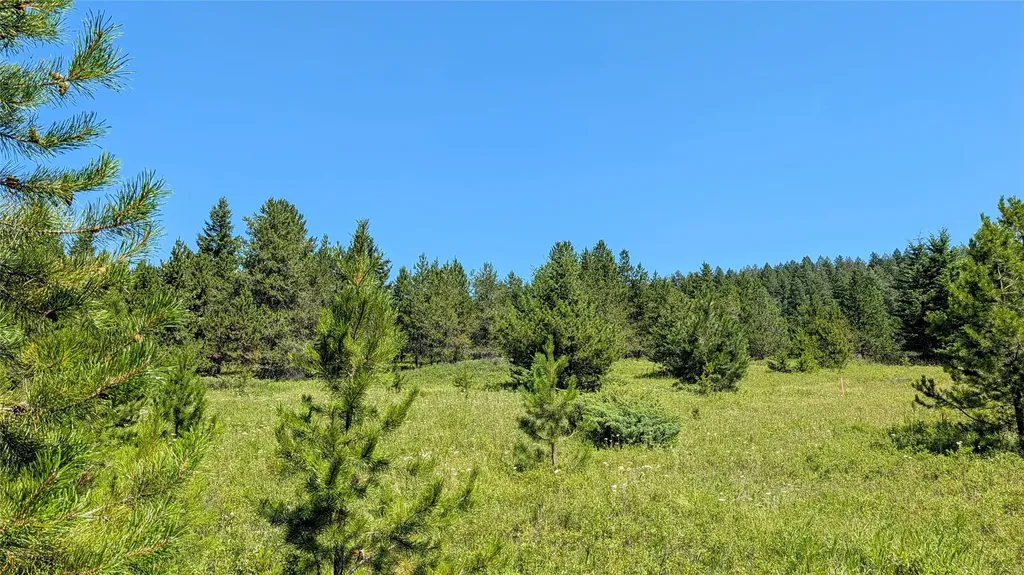80 Wagon Wheel Road Whitefish MT 59937