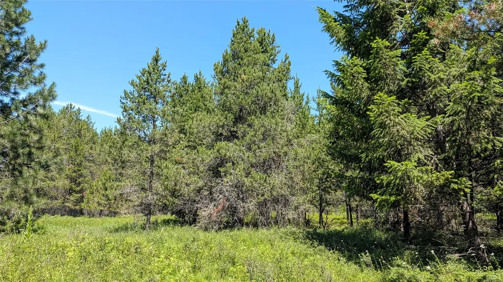 80 Wagon Wheel Road Whitefish MT 59937