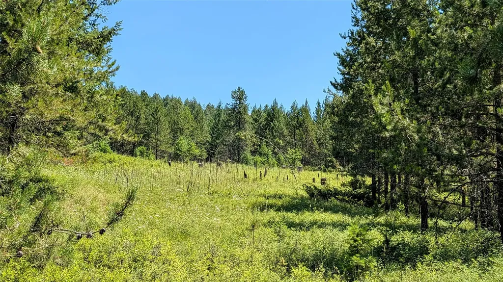 80 Wagon Wheel Road Whitefish MT 59937