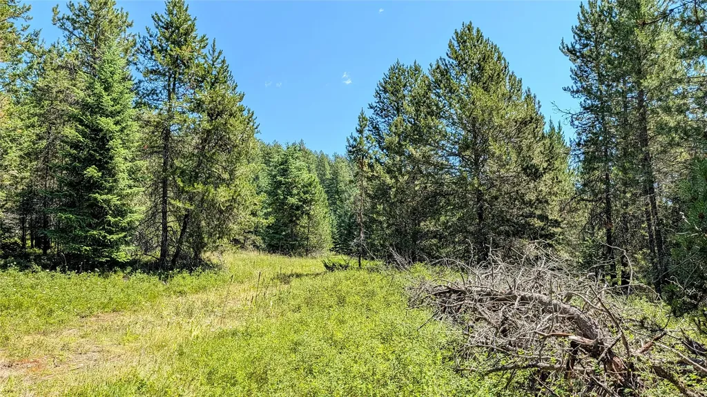 80 Wagon Wheel Road Whitefish MT 59937