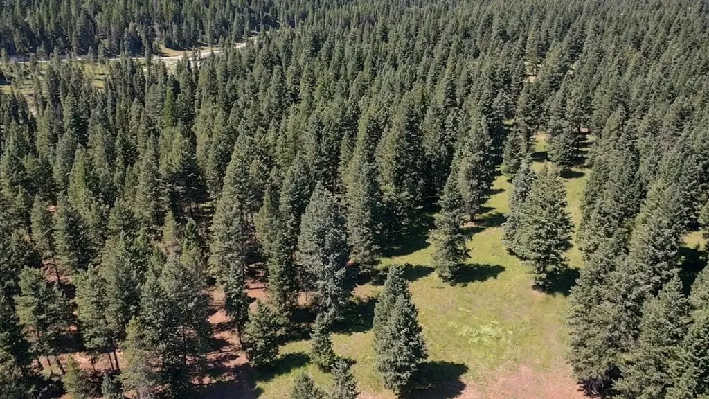 1550 Lost Creek Drive Kalispell MT 59901