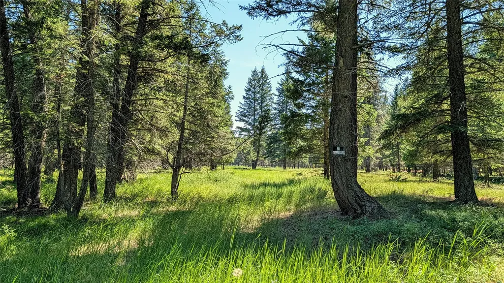 1550 Lost Creek Drive Kalispell MT 59901