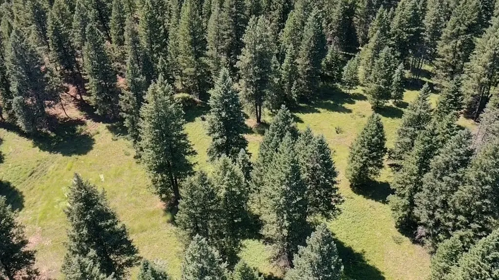 1550 Lost Creek Drive Kalispell MT 59901